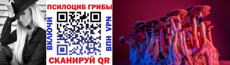 что такое наркотик  Петухово  Галлюциногенные грибы мухоморы 
